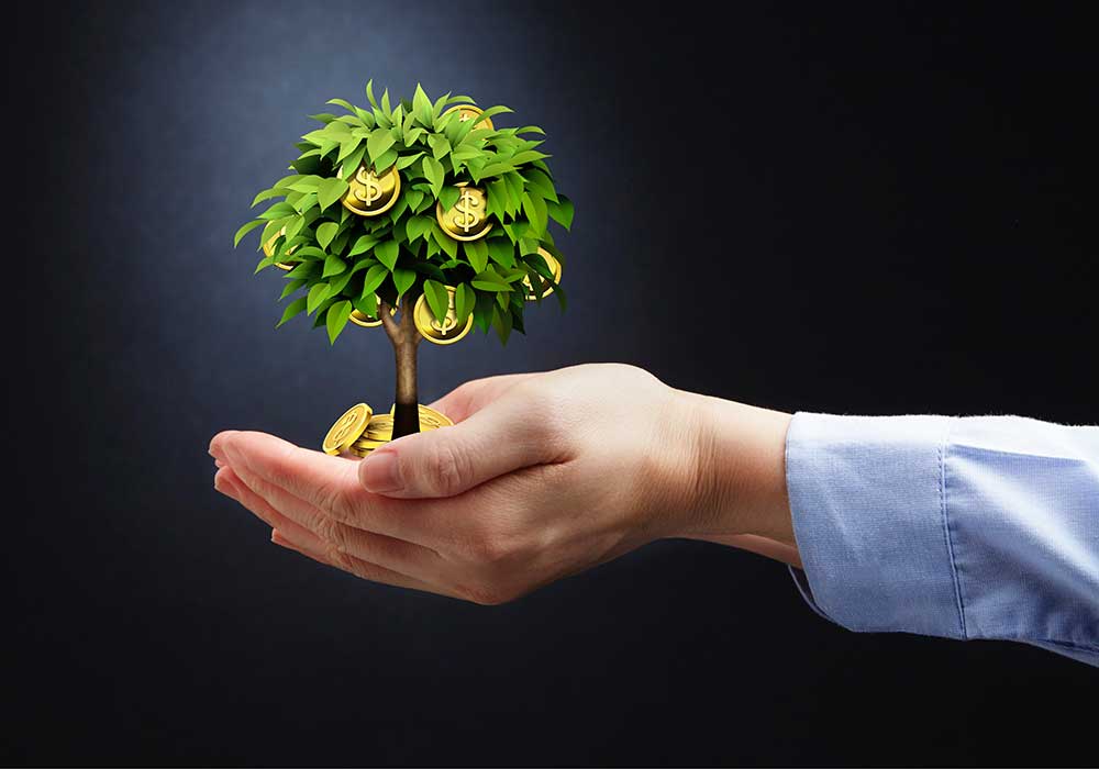 hand holding a money tree